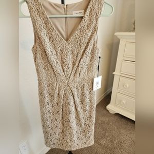 Calvin Klein Lace Dress in Taupe